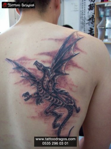 Dragon Tattoo