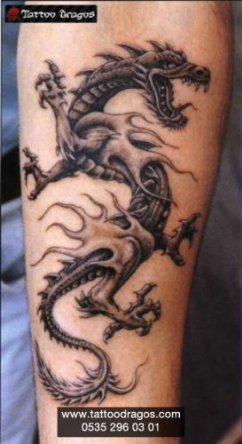 Dragon Tattoo