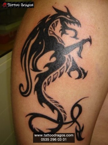 Dragon Tattoo