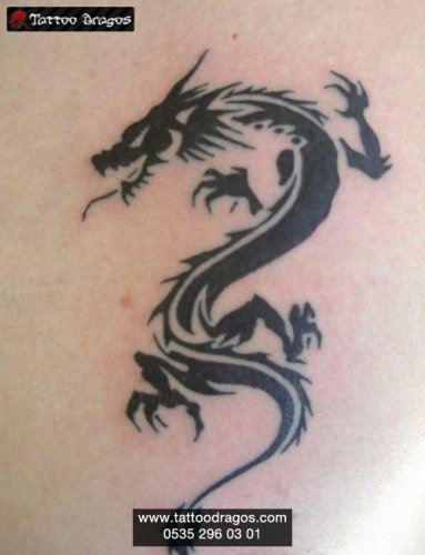 Dragon Tattoo