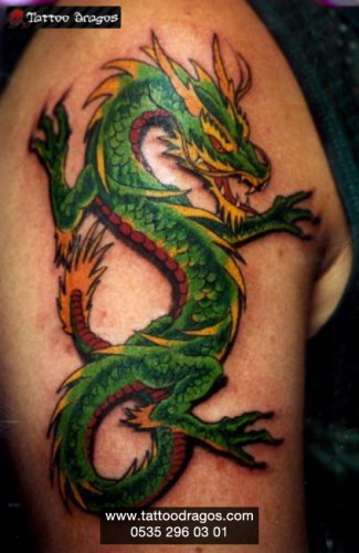 Dragon Tattoo