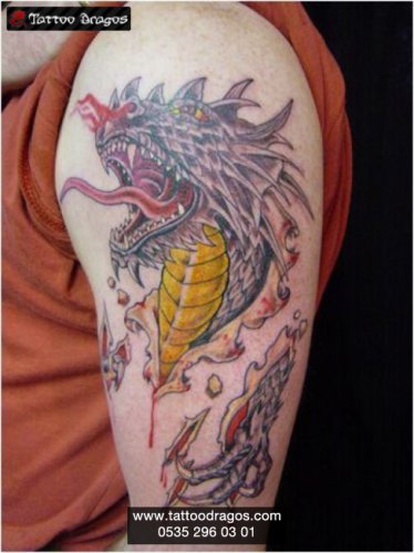 Dragon Tattoo