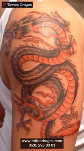 Dragon Tattoo