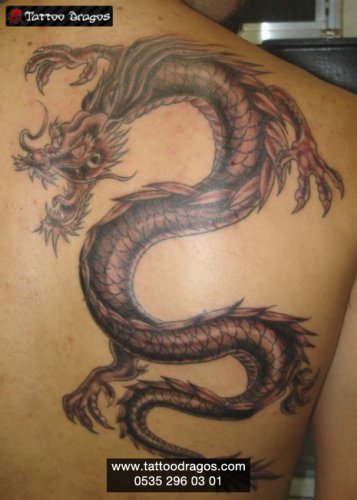 Dragon Ejderha Tattoo