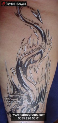 Dragon Ejderha Tattoo