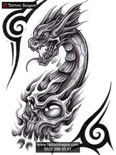 Dragon Ejderha Tribal