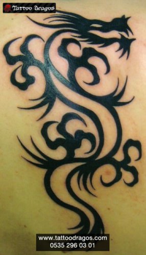 Dragon Tribal Tattoo