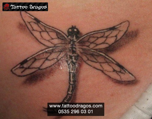 Dragonfly Yusufçuk Tattoo