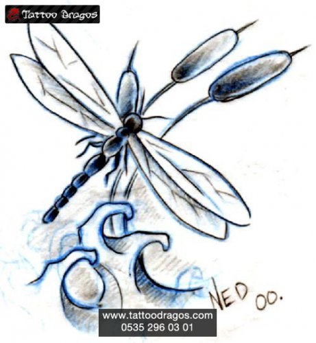 Dragonfly Yusufçuk