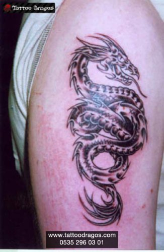 Ejderha Dragon Tattoo