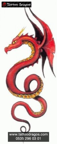 Ejderha Dragon