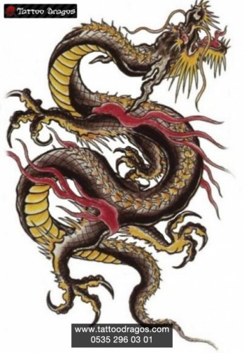 Ejderha Dragon