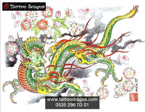 Ejderha Dragon