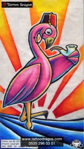 Flamingo Kuş