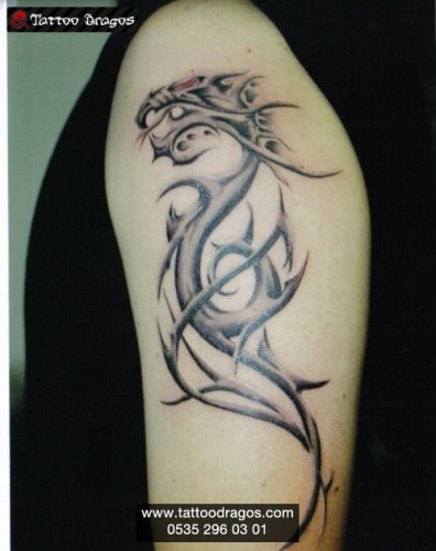 Gölgeli Dragon Tribal Tattoo