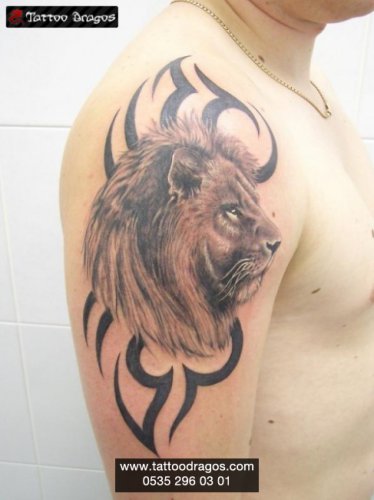 Gölgeli Tribal Aslan Tattoo