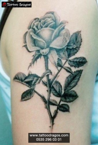 Gül Çiçek Tattoo