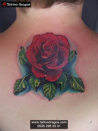 Gül Rose Tattoo