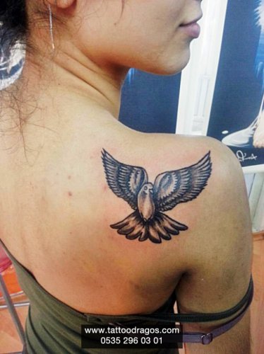 Güvercin Tattoo