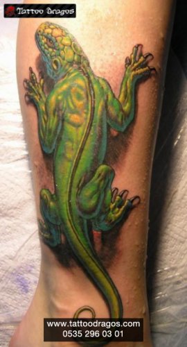 İguana Tattoo