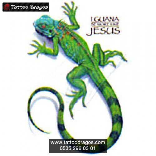 İguana Sürüngen