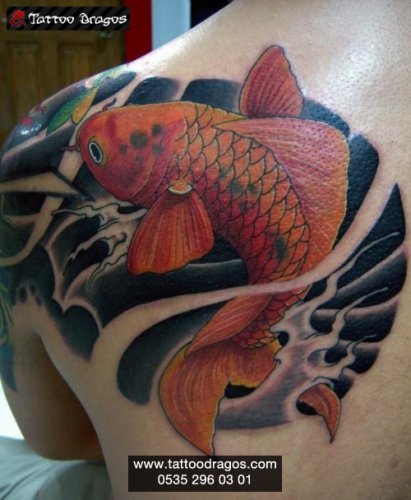 Japon Balığı Tattoo