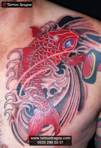 Japon Balığı Tattoo