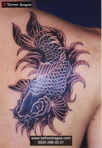 Japon Balığı Tattoo