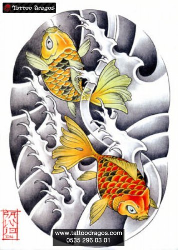 Japon Balığı