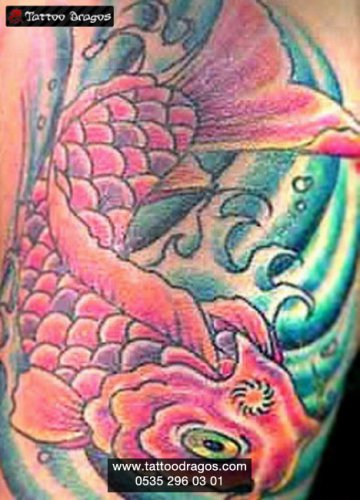 Japon Balığı Tattoo