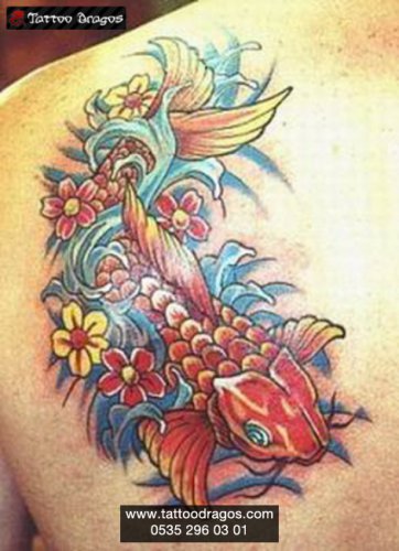 Japon Balığı Tattoo