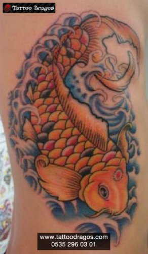 Japon Balığı Koi Tattoo