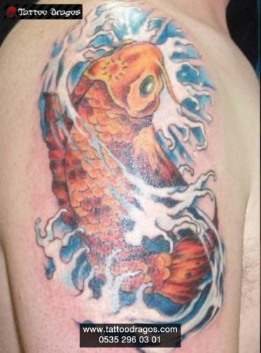 Japon Balığı Koi Tattoo