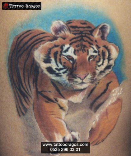 Kaplan Tattoo