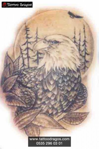 Kartal
