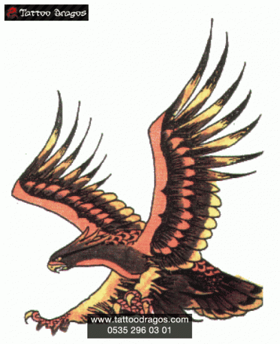 Kartal