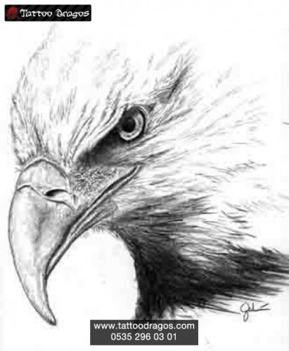 Kartal Kafası