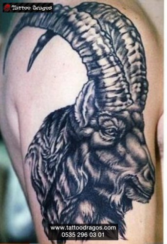 Keçi Oğlak Burç Tattoo