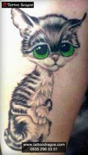 Kedi Tattoo