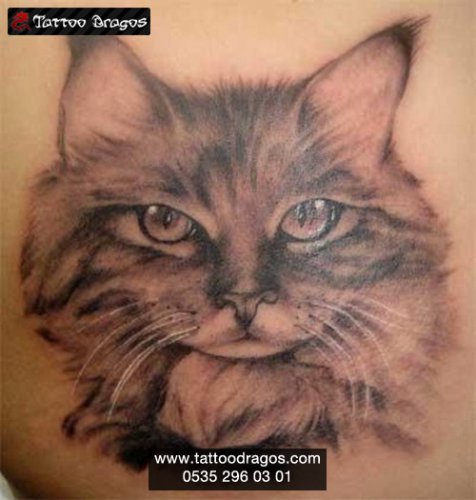 Kedi Tattoo