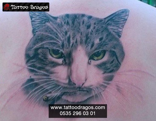 Kedi Tattoo