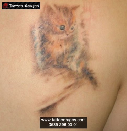 Kedi Tattoo