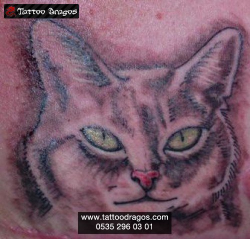 Kedi Tattoo