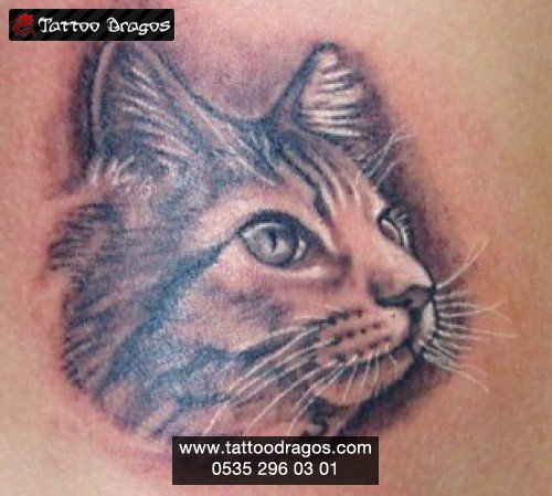 Kedi Tattoo