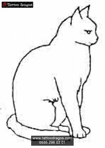 Kedi