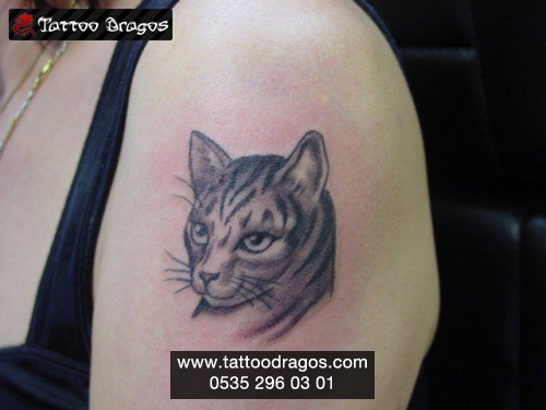 Kedi Tattoo