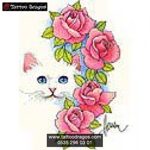 Kedi Gül