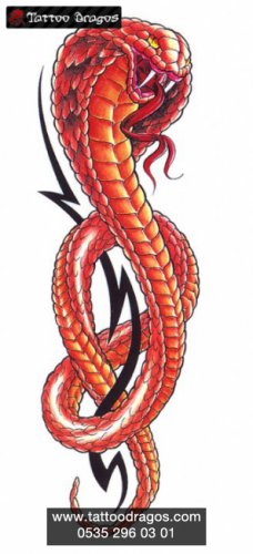 Змеи - 1 в тату эскизах Рисуем на заказ Фото