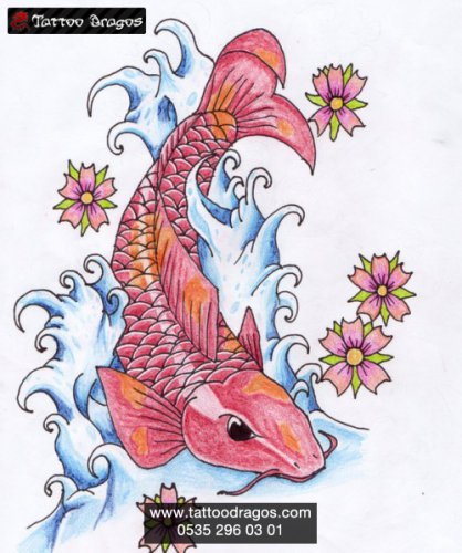 Koi Balık