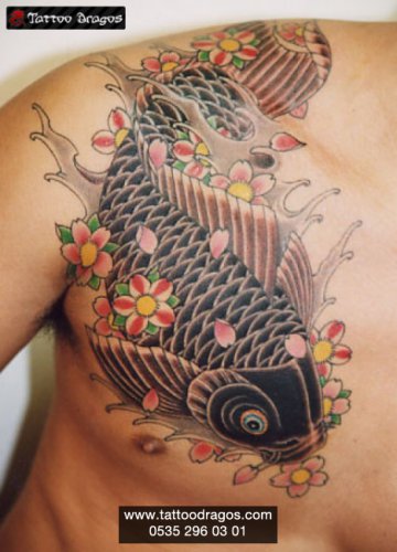 Koi Japon Balığı Tattoo